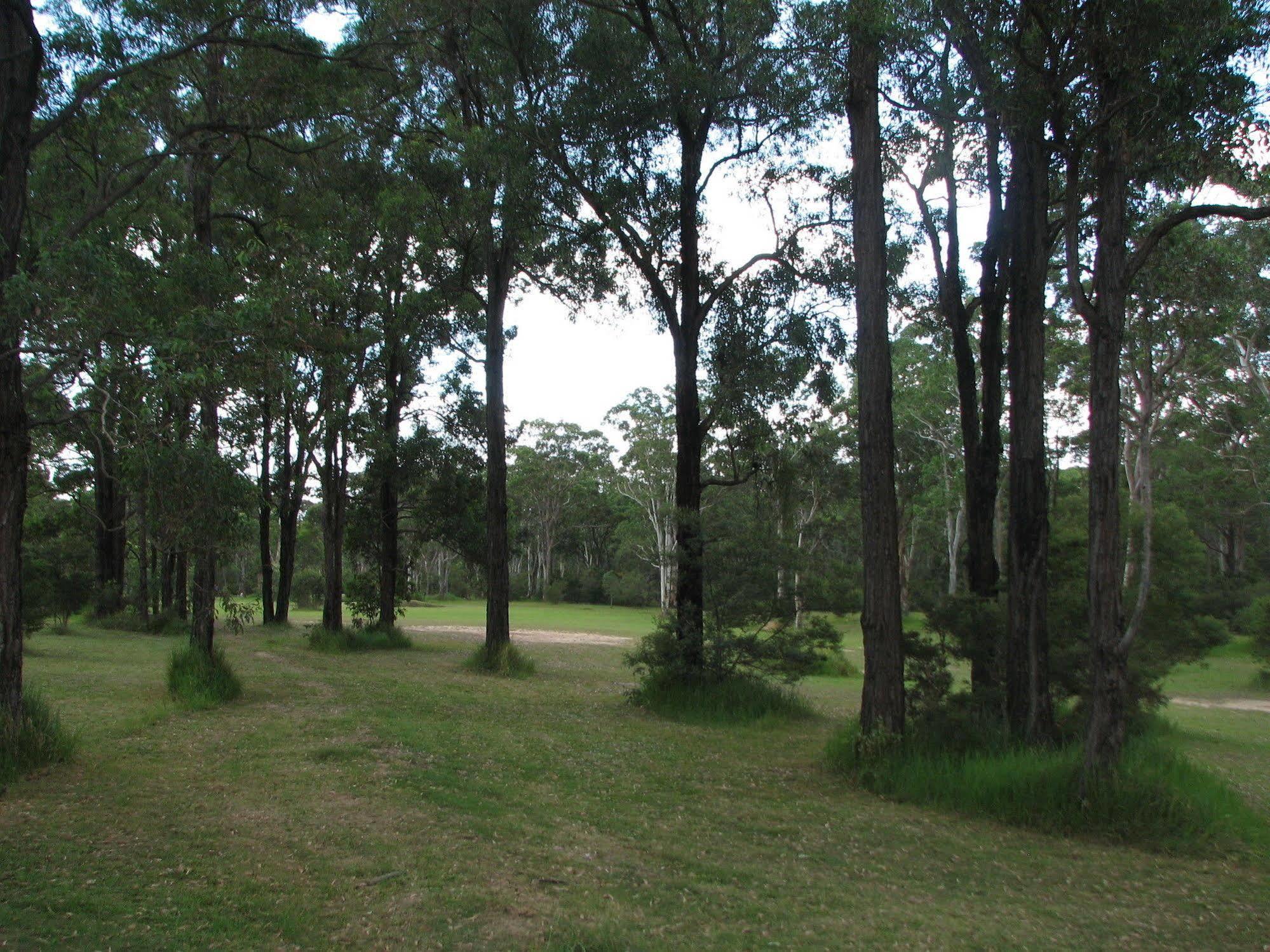 Lovedale Cottages Hunter Valley Dış mekan fotoğraf